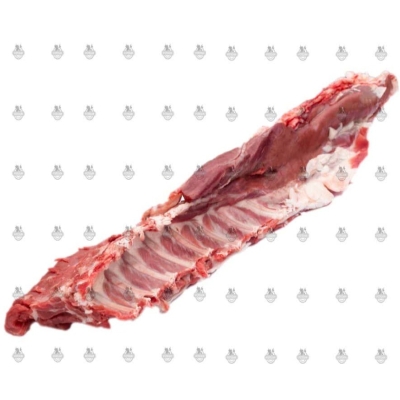 راسته گوسفندی 